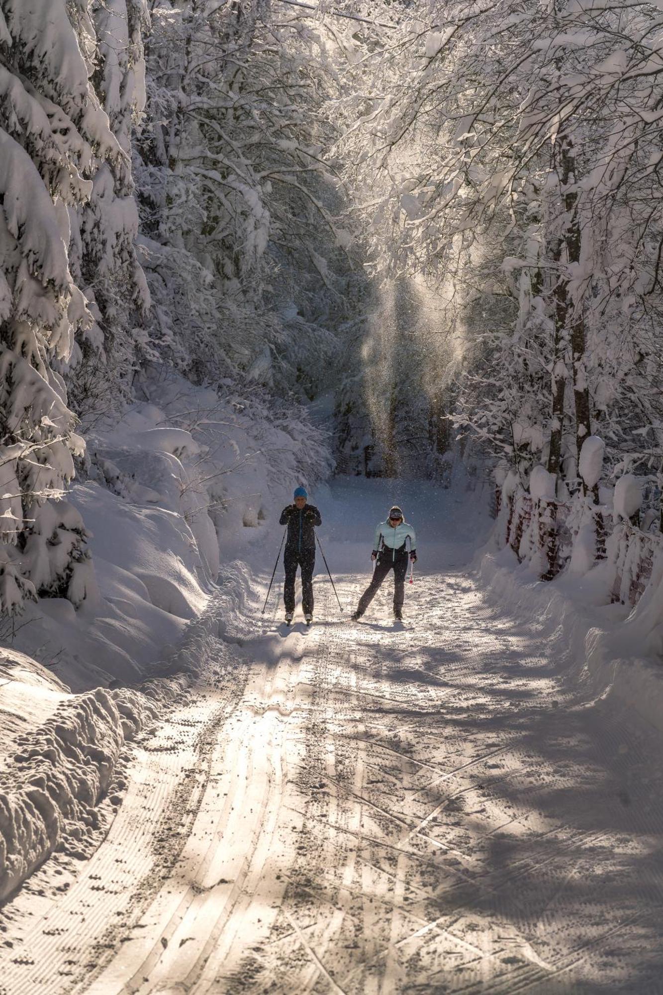 Natur- & Wanderhotel Tuxertal Kültér fotó