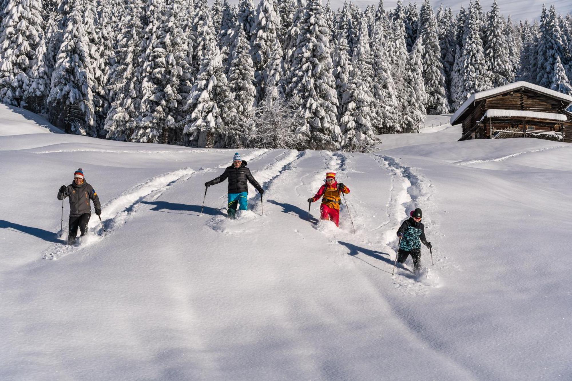 Natur- & Wanderhotel Tuxertal Kültér fotó